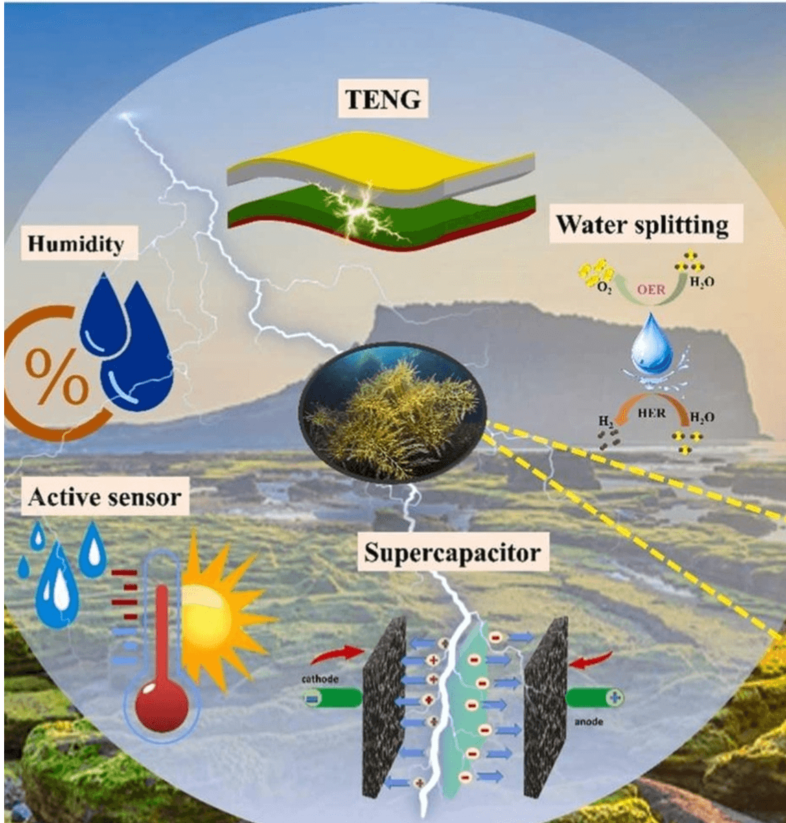 Advanced Energy Storage & Self-Powered Systems