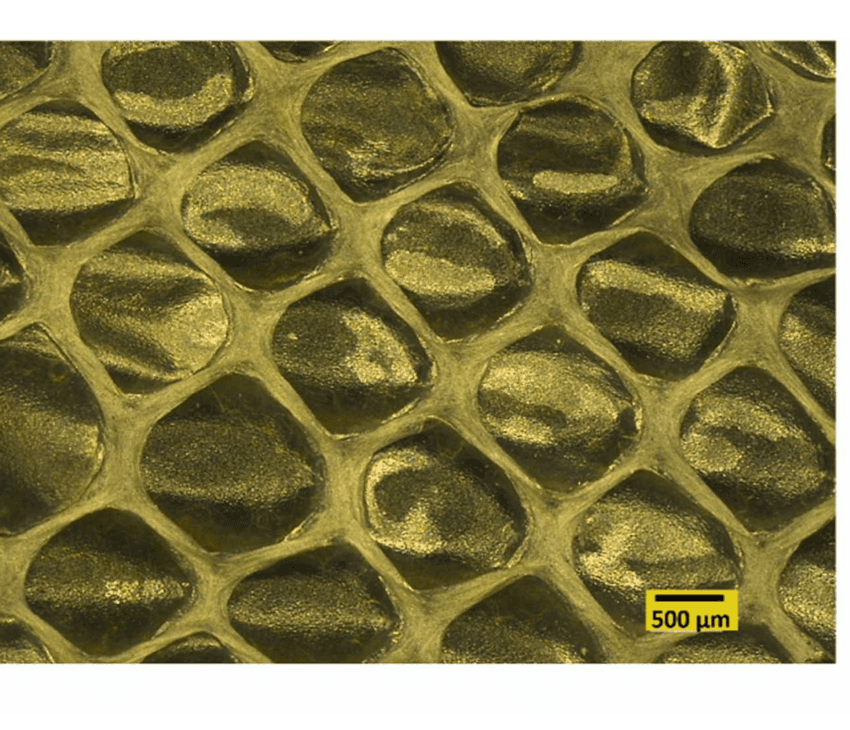 Nature-Inspired Platforms for Smart Technologies